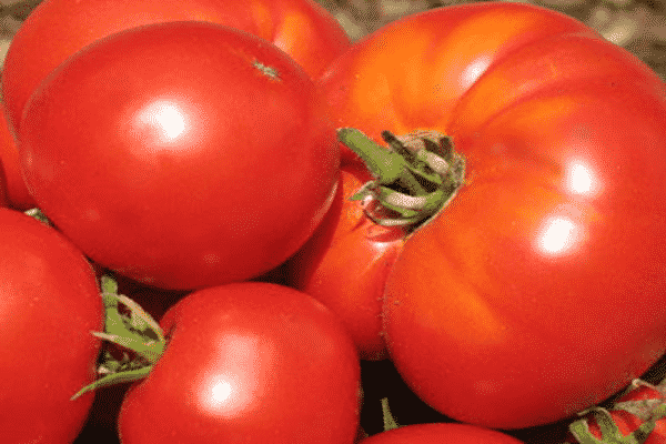stora fruktade tomater