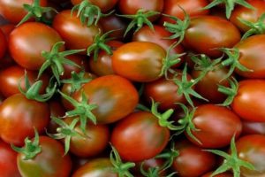 Descripción de la variedad de tomate Emperador, características de cultivo y cuidado.