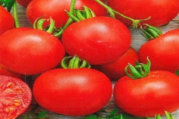 Tomato Klepa