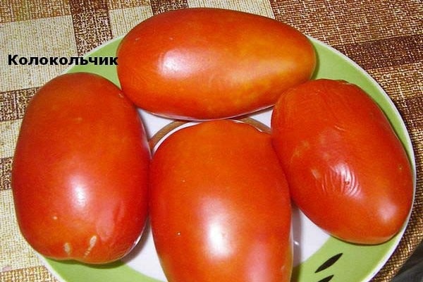 tomat klokke