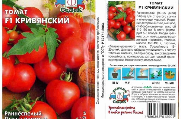 išvaizda pomidorų Krivyansky