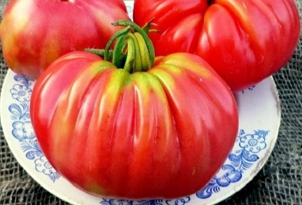 pond rosamarin tomaat op een bord