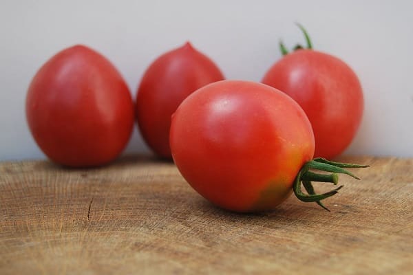 paradajka Slavyanka