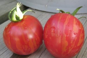 Beskrivelse af tomatsorten Vernissage, funktioner i dyrkning og pleje