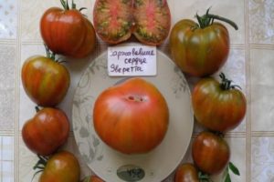 Descripción de la variedad de tomate Everett's rusty heart y sus características