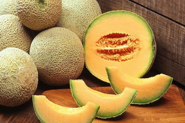 melon Altai