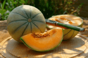 Beskrivning av variationen av melon Cantaloupe (Musk), dess typer och funktioner