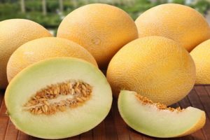 Beskrivning av Roksolana f1 melonsort, odling och skötsel av grödan