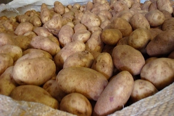 želé zemiaky