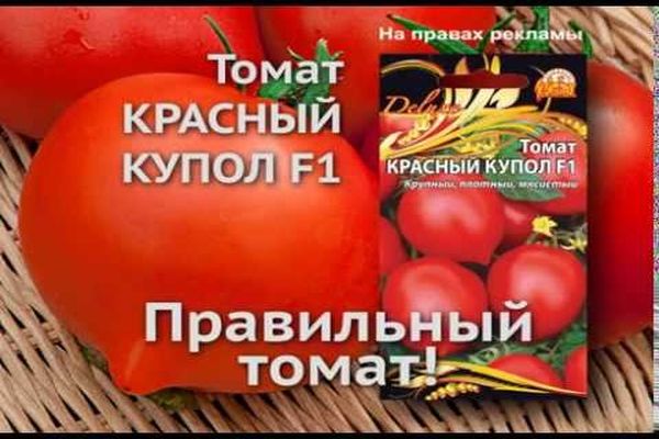 Kuvaus tomaatti Red Dome -lajikkeesta, sen ominaisuudet ja tuottavuus