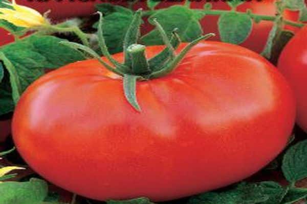 variedades de tomate cúpula roja