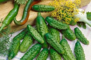 Beschrijving van de Quadrille-komkommervariëteit, kenmerken van teelt en verzorging