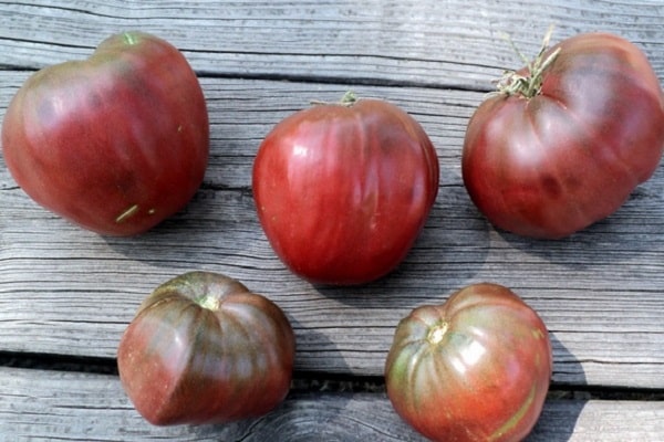Opis odrody paradajok Black Heart of Breda, znaky pestovania a starostlivosti
