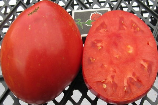 los tomates son todos iguales