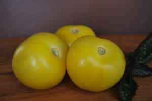 Descrizione della varietà di pomodoro Palla gialla, caratteristiche di coltivazione e cura