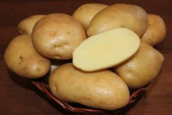 potatisvård