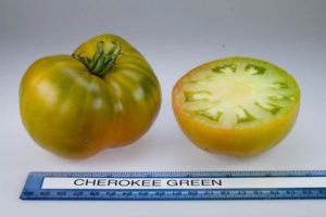 Descripción de la variedad de tomate Cherokee verde dorado, características de cultivo y cuidado.