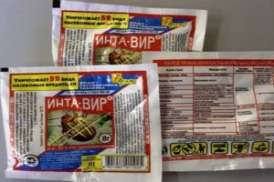 Instruktioner för användning av läkemedlet Intavir mot Colorado potatisbagge