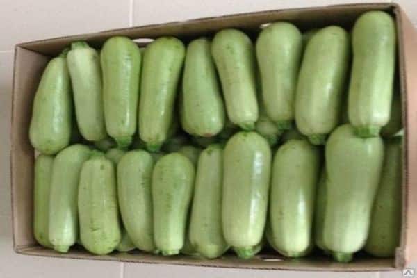 zucchini i en låda