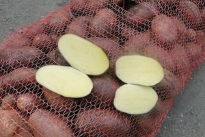 Beskrivning av Irbitsky potatisvariant, rekommendationer för odling och avkastning
