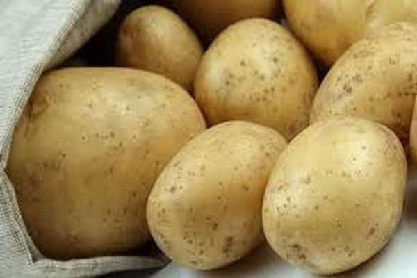 vroege aardappelen