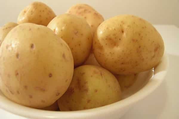 molly aardappelen