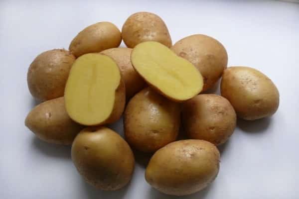 cartofi Nevsky