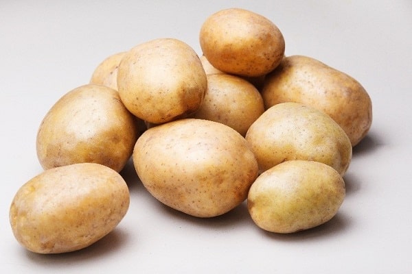 Rogneda potatis