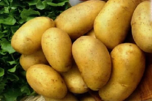 bulvių pasaka
