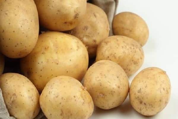 zorachka potatis