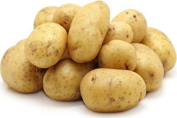 potatis för plantering