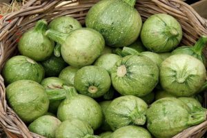 Beskrivning av de bästa sorterna av runda zucchini, funktioner för odling och vård