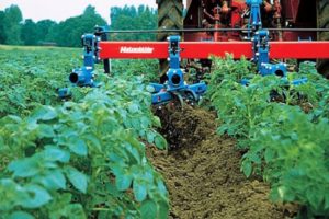 Soorten cultivatoren voor grondbewerking tussen de rijen en hoe u ze zelf kunt maken