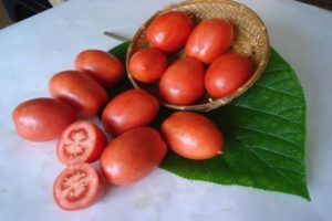 Beskrivning av tomatsorten Salut, funktioner för odling och vård