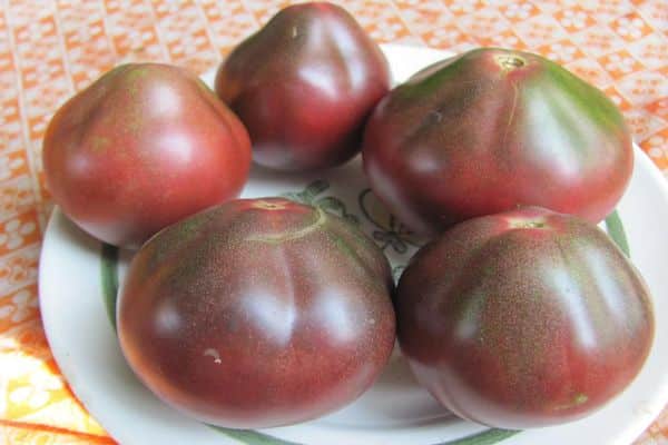 tomater på en tallrik