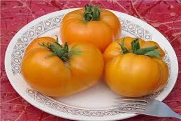 tomātu zelta laikmets