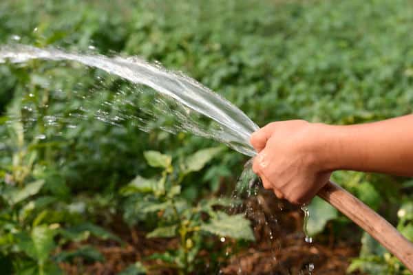 irrigazione con tubi flessibili