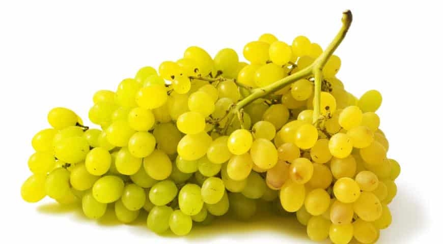 Žaliosios vynuogės