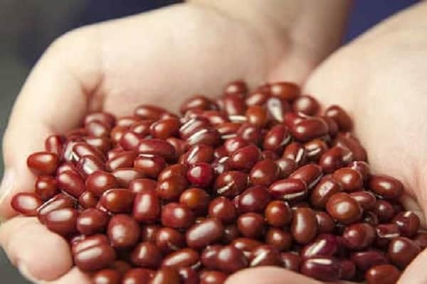 properties of beans