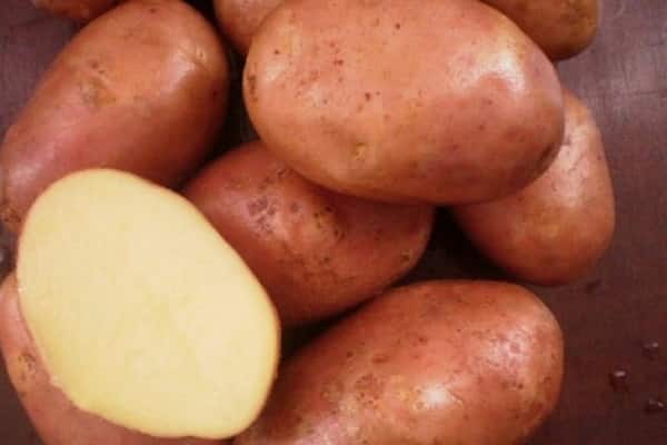 aardappel Ilyinsky