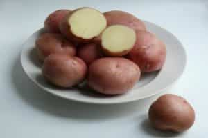 Beschrijving van het Romano-aardappelras, kenmerken van teelt en verzorging