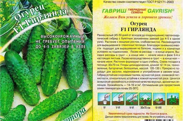 cucumber seeds Garland f1