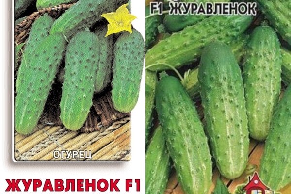 seeds of variety Zhuravlenok f1