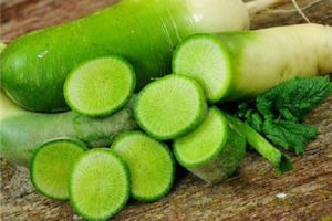 Nyttige egenskaber og kontraindikationer af grøn radise til den menneskelige krop