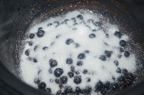sugar and blueberries