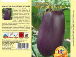 Beskrivning av olika aubergine Lila mirakel, funktioner för odling och vård
