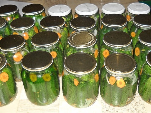 komkommers met wortelen en uien voor de winter