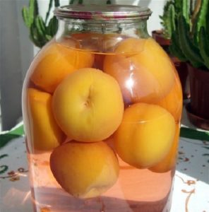 Rezepte für die Herstellung von Pfirsichkompott ohne Sterilisation für den Winter