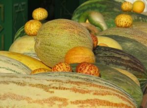 Beskrivning av varianter av meloner med namn, vilka sorter är