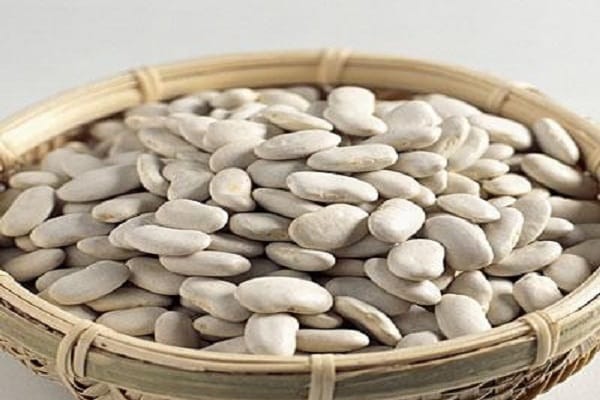 Description des variétés de haricots blancs, propriétés utiles et nocives, culture